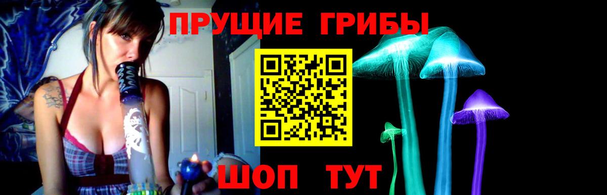 Галлюциногенные грибы мухоморы  Вход с VPN  Звенигород 